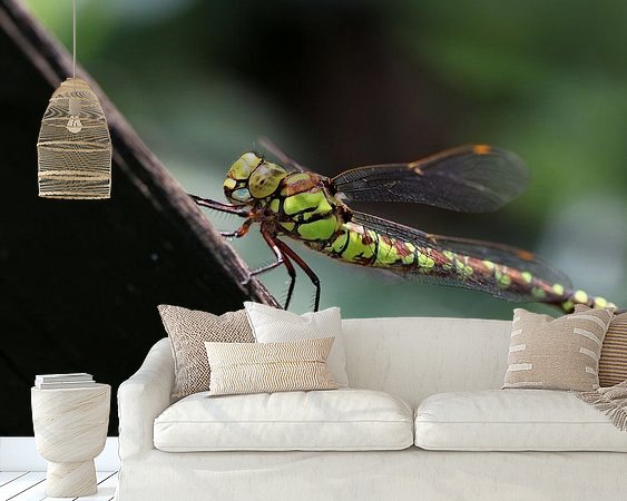 Aperçu de la chambre