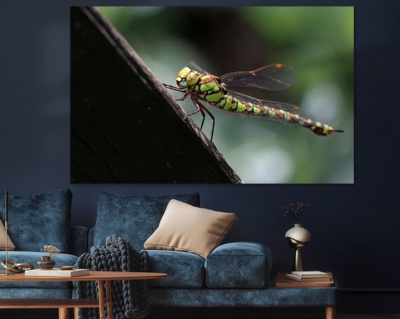 Aperçu de la chambre