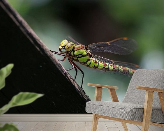 Aperçu de la chambre