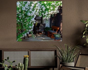 Mooie witte klimroos bij de ingang van een huis van ManfredFotos