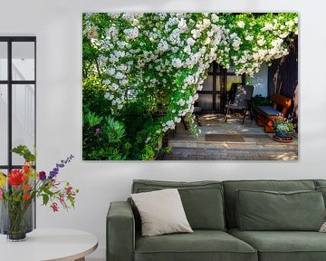 Mooie witte klimroos bij de ingang van een huis van ManfredFotos