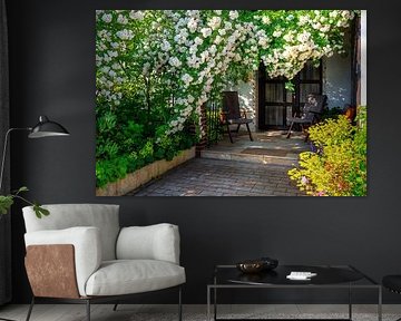 Mooie witte klimroos bij de ingang van een huis van ManfredFotos