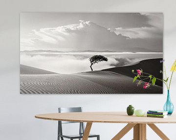 Tree in the desert with clouds by Mustafa Kurnaz