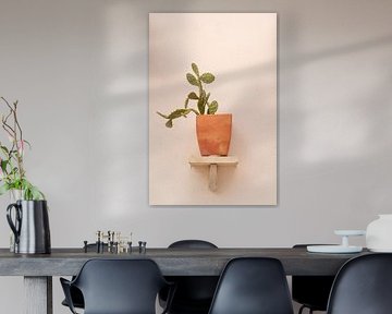 A cactus in terracotta pot on a shelf at a house in Ericeira, Portugal - summer street and travel photography