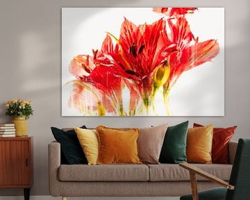 Alstroemeria in ijs 2 van Marc Heiligenstein