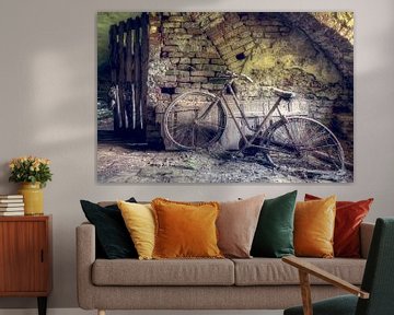 Bike in Abandoned Cellar. by Roman Robroek