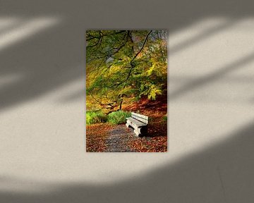 Ein Plätzchen im Herbstwald von Ostsee Bilder