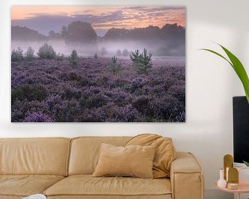Mystieke ochtendsfeer op de Brunssumer Heide - Een paarse bloemenzee in de ochtendnevel van Rolf Schnepp