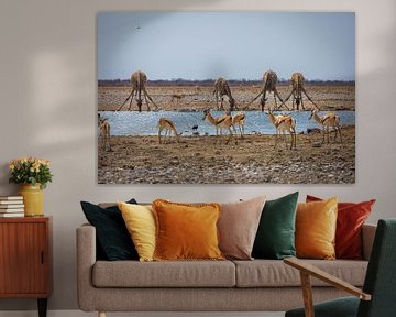 Namibië: een land van uitersten en adembenemende schoonheid. van Patrick Fotografeert