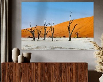 Namibië: een land van uitersten en adembenemende schoonheid. van Patrick Fotografeert