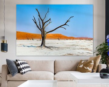 Namibië: een land van uitersten en adembenemende schoonheid. van Patrick Fotografeert