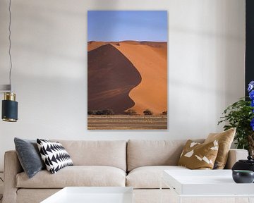 Namibië: een land van uitersten en adembenemende schoonheid. van Patrick Fotografeert