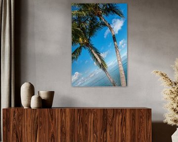 Palmbomen met blauwe lucht en zee op de achtergrond von Michèle Huge