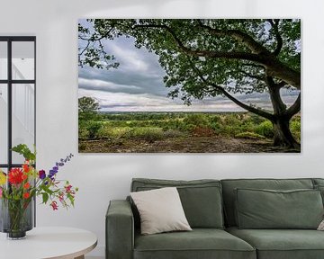 Uitzicht vanaf de Lemelerberg van R Smallenbroek