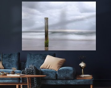 Palendorp Petten