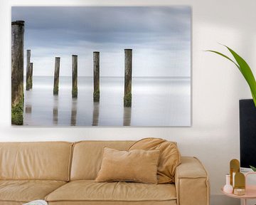 Palendorp Petten