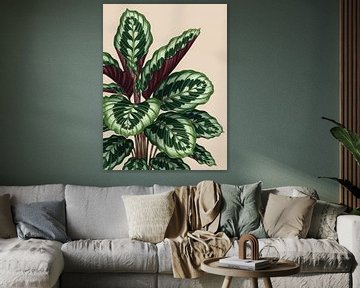 Calathea Tropisch Bladerdek Botanische Jungle Kunst