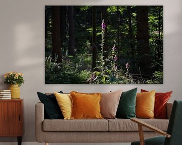 flowers in the forest