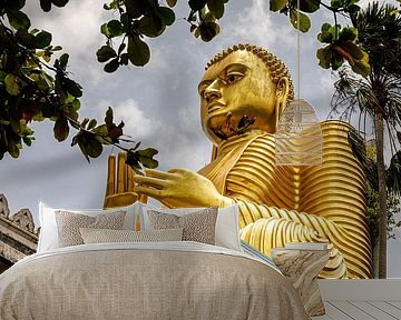 Sri Lanka; Eiland van de Wonderen van Patrick Fotografeert