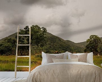 Sri Lanka; Eiland van de Wonderen van Patrick Fotografeert