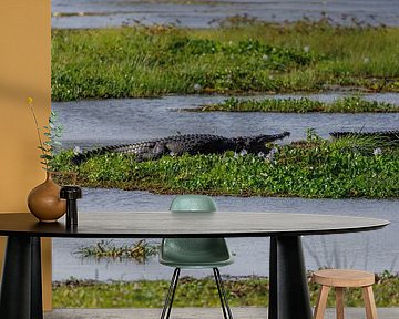 Sri Lanka; Eiland van de Wonderen van Patrick Fotografeert