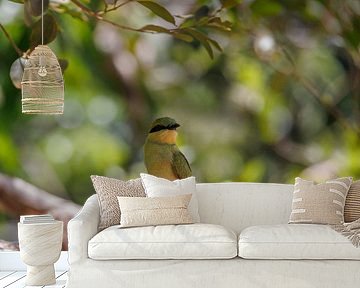 Sri Lanka; Eiland van de Wonderen van Patrick Fotografeert
