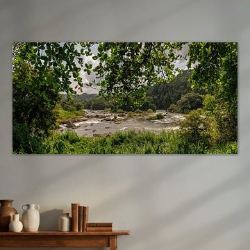 Sri Lanka verzaubert mit seinen sanft geschwungenen Teeplantagen und unzähligen Wasserfällen, die sich im grünen Hochland verstecken.