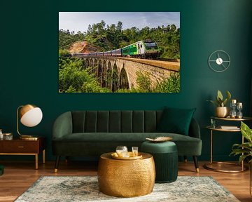Neun-Bogen-Brücke, Sri Lanka von Patrick Fotografeert