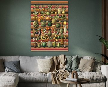 a Collection of Healthy Foods van Marja van den Hurk