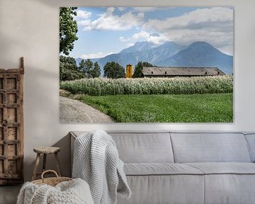 Landelijk leven op het Franse boerenland in de Pyreneeën