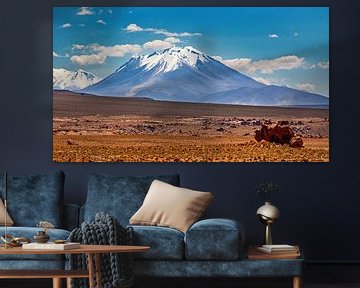 Die Anden des Altiplanos in Bolivien von Roland Brack