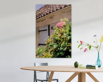 Roos van Petra de Jong Fotografie - Beeldmaker