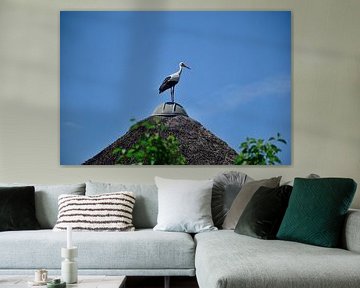 A proud stork on a rooftop