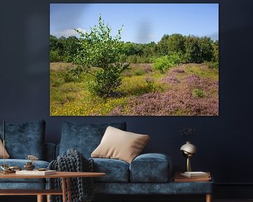 Duhner Heath by Torsten Krüger