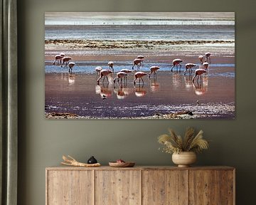 Die Flamingos der Laguna Colorada von Roland Brack