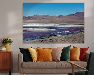 Die Flamingos der Laguna Colorada von Roland Brack