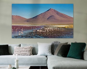 Die Flamingos der Laguna Colorada von Roland Brack