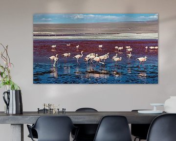 Die Flamingos der Laguna Colorada von Roland Brack