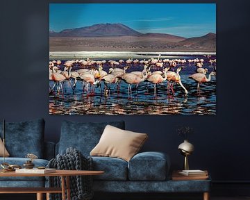 The flamingos of Laguna Colorada by Roland Brack