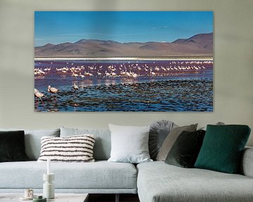 The flamingos of Laguna Colorada by Roland Brack