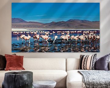 The flamingos of Laguna Colorada by Roland Brack