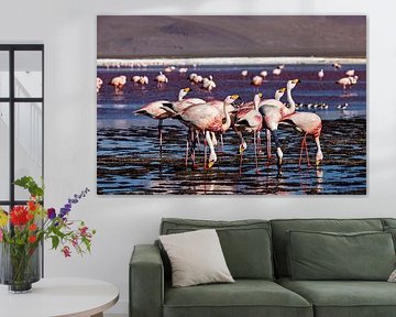 The flamingos of Laguna Colorada by Roland Brack