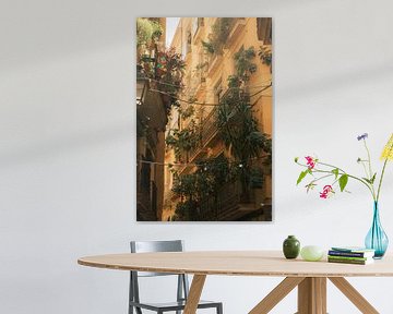 Mediterrane balkons: stedelijke jungle in Barcelona van NZME Photography