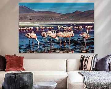 The flamingos of Laguna Colorada by Roland Brack