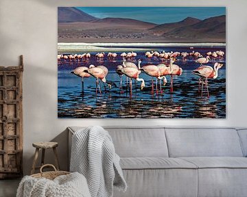 The flamingos of Laguna Colorada by Roland Brack