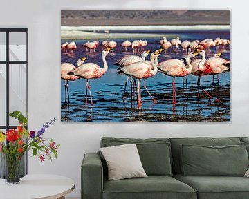 The flamingos of Laguna Colorada by Roland Brack