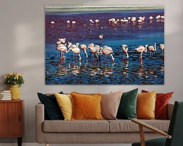 The flamingos of Laguna Colorada by Roland Brack