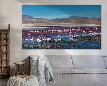 The flamingos of Laguna Colorada by Roland Brack