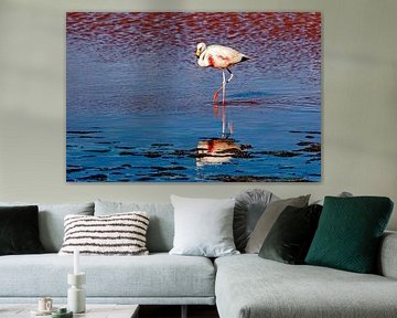 The flamingos of Laguna Colorada by Roland Brack