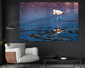 The flamingos of Laguna Colorada by Roland Brack